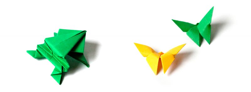 taller de origami papiroflexia figuras rana mariposa cosqueretas