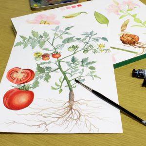 taller_acuarela_botanica_academia_cosqueretas